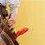 Handyman repair service in Columbia, SC for home fixes and improvements