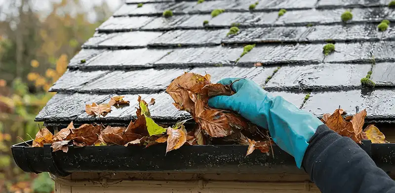 Gutter cleaning technician clearing wet leaves from roof gutters in Columbia, SC